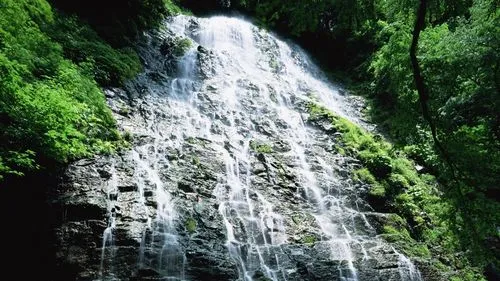 高效全自动高性能